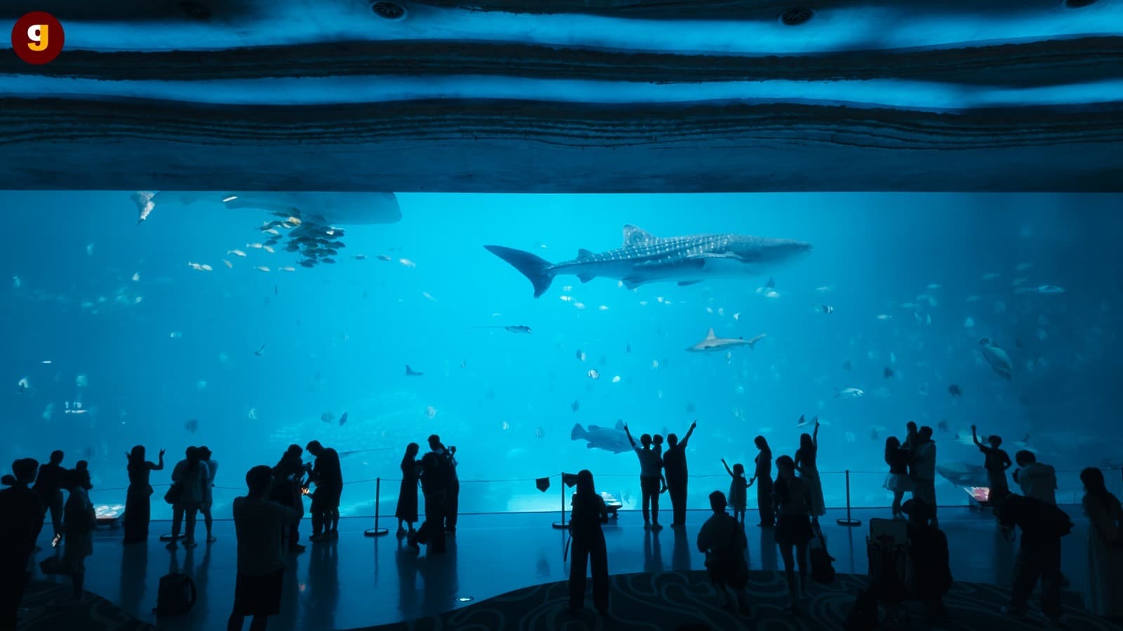 Chimelong Spaceship สวนสนุกในร่มใหญ่ที่สุดในโลก